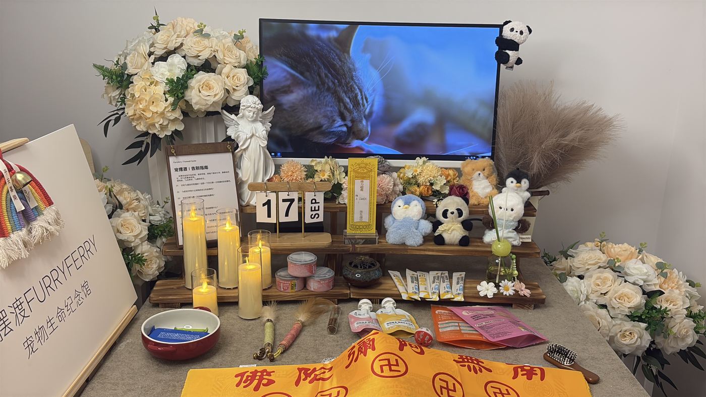 昆明宠物告别厅实景