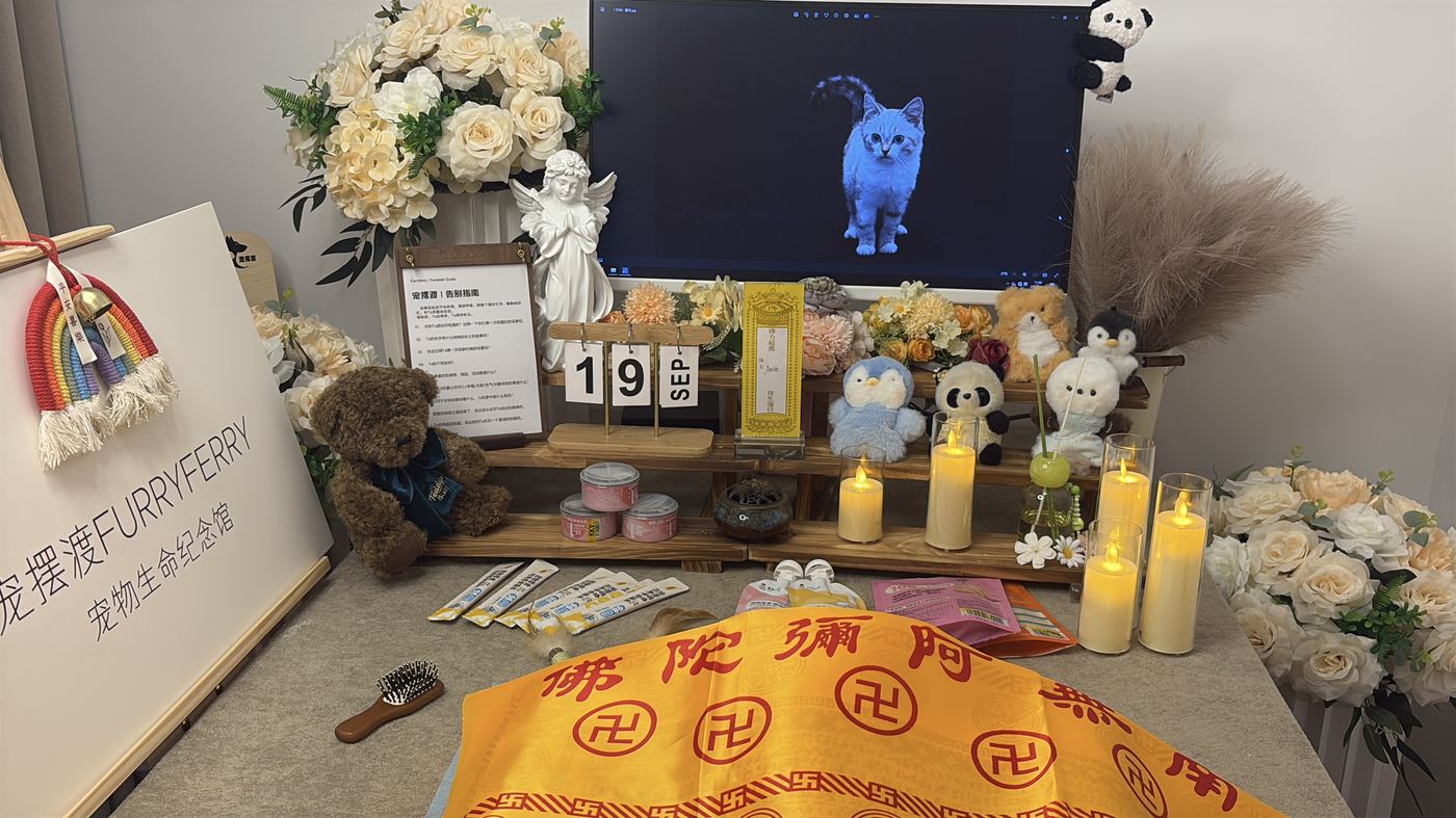 如何面对宠物离世的悲伤？写给昆明养宠人的心理支持